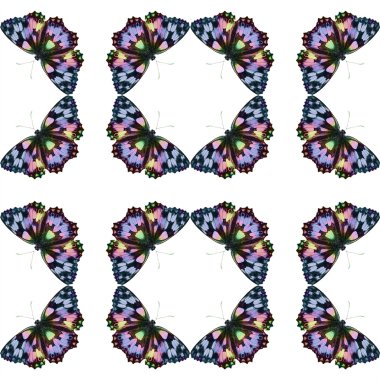 Kelebekler ile doğal seamless modeli