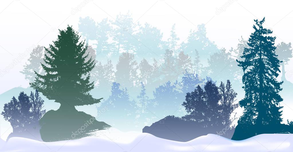 Panoramic winter landscape with snowy trees and snow drifts