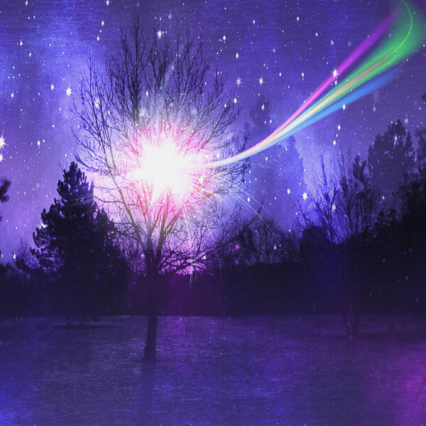 Black, purple, green and pink landscape with stars, forest and christmas comet