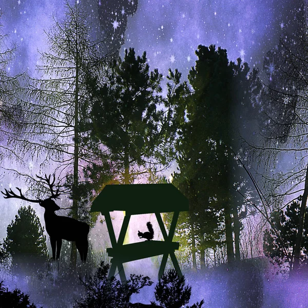 Temné noci zimní krajina s siluety stromů, zvířat a hvězd — Stock fotografie