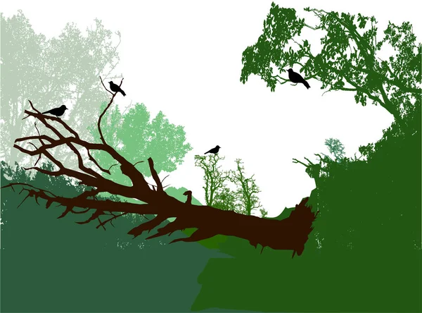 Paisaje forestal panorámico con árboles caídos, arbustos y aves — Vector de stock