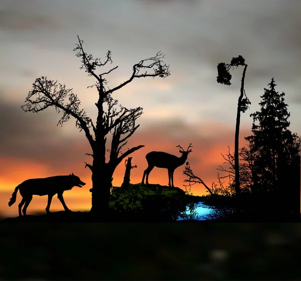 Paysage forestier nocturne sombre avec des silhouettes d'animaux et d'arbres sauvages — Image vectorielle