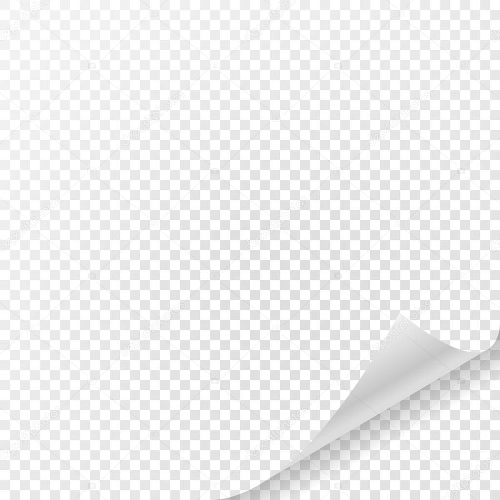 White sheet of paper with curved corner and with shadow on transparent background. Transparency only in vector format