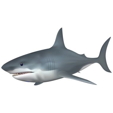 Büyük beyaz köpek balığı tuzlu su balık. Tam uyumlu. Degrade kafes ile oluşturulan