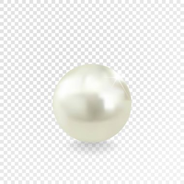 Gerçekçi beyaz şeffaf arka plan, vektör çizim inci parlak