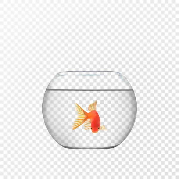 Poisson rouge nageant dans un aquarium en verre rond transparent illustration vectorielle d'impression d'image réaliste — Image vectorielle