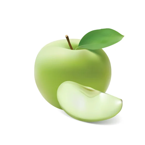 Realistisk grönt äpple med segment vektor — Stock vektor