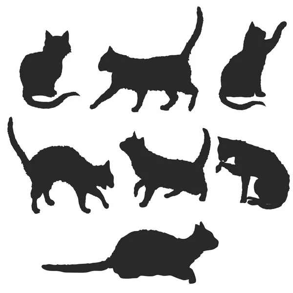 Gatos, conjunto aislado sobre fondo blanco — Archivo Imágenes Vectoriales