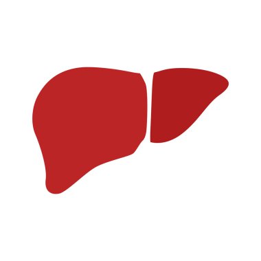 Düz modern tasarım simgesi karaciğer. Vektör eps10.