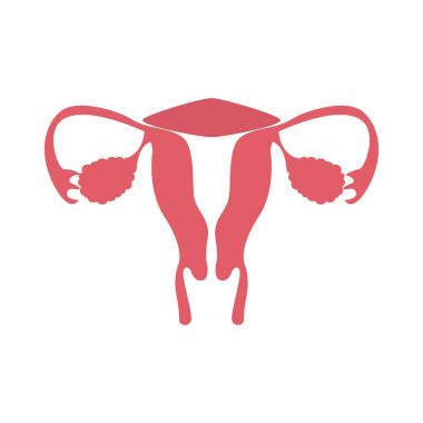 Düz modern tasarım simgesi rahim. Vektör eps10.