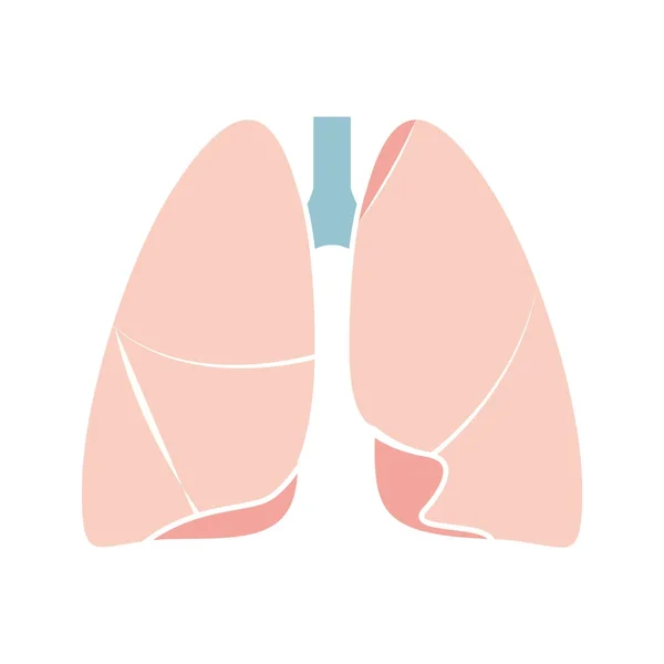 Flat modern design icon lungs. Vector eps10. — Stock Vector