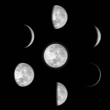 Moon Phases. Vector eps10. clipart