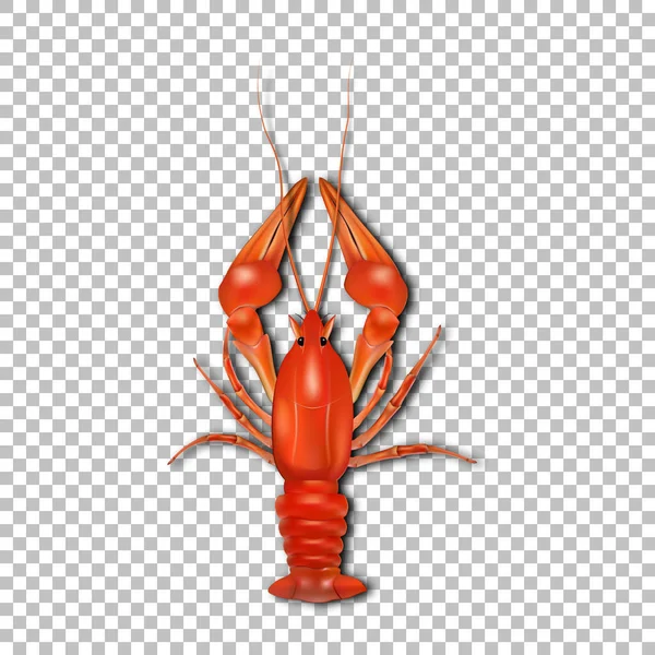 Red crayfish. 3d vector icon. Seafood, realistic style. Snack to beer. Vector eps10. — Stock Vector