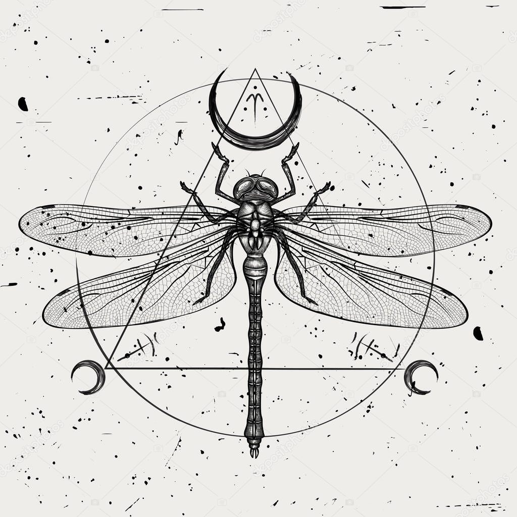 Vector illustration of a hand-drawn dragonfly with sacred geometric symbols on a vintage background. Sketch for tattoo