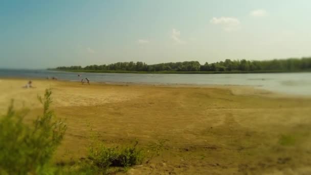 Sandy beach on the shore of the pond — Stock Video