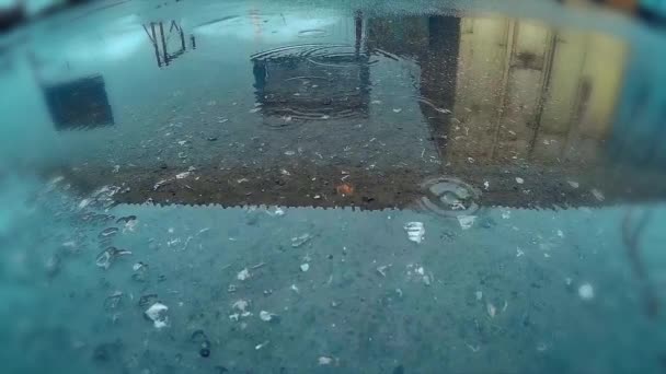 Des gouttes de pluie tombent dans une flaque — Video