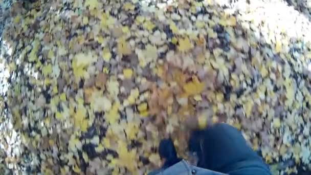 Człowiek jest chodzenie w lesie jesienią — Wideo stockowe