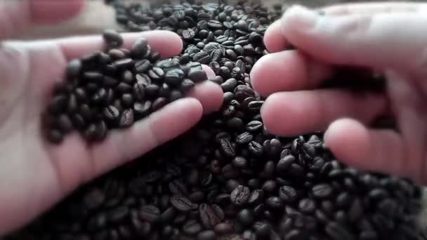 Check the quality of the coffee roasting — Stock Video