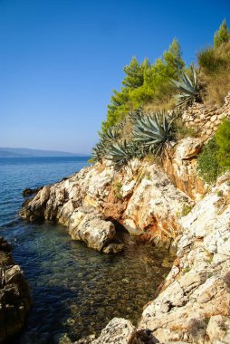 Deniz manzarası Bol, Brac, Groatia