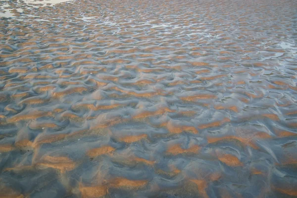 Quicksand at sunset near Le Mont Sent Michael, France — Stock Photo, Image