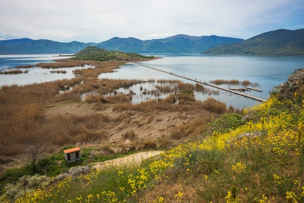 Flower meadow on slope of mountains and lake Prespa, Greece — Stock Photo, Image