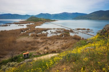 Çiçek çayır yamacında dağ ve göl Prespa, Yunanistan
