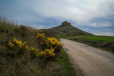 Ortaçağ Kalesi içinde Gormas ve yelloow çiçekler, Soria, Castilla y