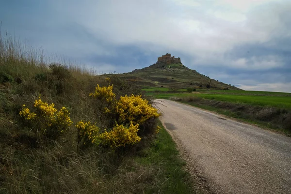 Ortaçağ Kalesi içinde Gormas ve yelloow çiçekler, Soria, Castilla y