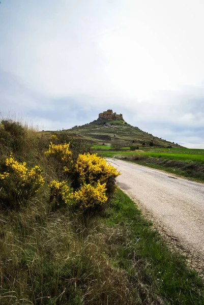 Middeleeuws kasteel in Gormas en yelloow bloemen, Soria, Castilla y — Stockfoto