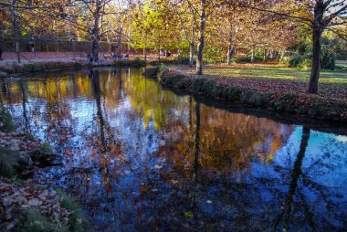 Sonbahar yatay, renkli yaprakları, nehir ve yansımalar 