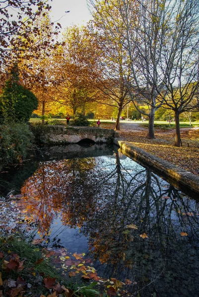 Herfst landschap met kleurrijke bladeren, rivier en reflecties in — Stockfoto