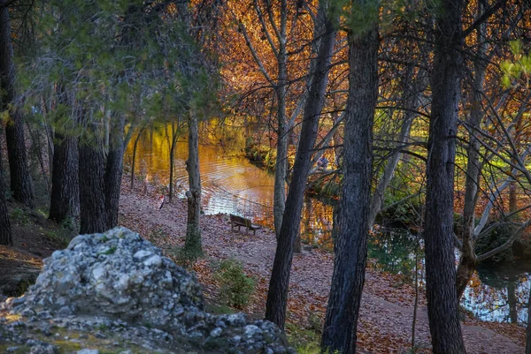 Herbstlandschaft mit bunten Blättern, Fluss und Spiegelungen in — Stockfoto