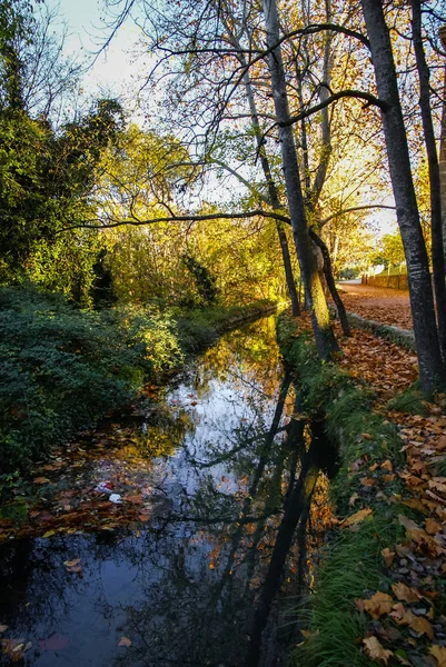 Paisagem de outono com folhas coloridas, rio e reflexões em — Fotografia de Stock