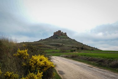 Ortaçağ Kalesi içinde Gormas ve yelloow çiçekler, Soria, Castilla y