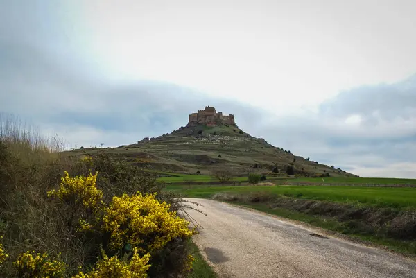 Middeleeuws kasteel in Gormas en yelloow bloemen, Soria, Castilla y — Stockfoto