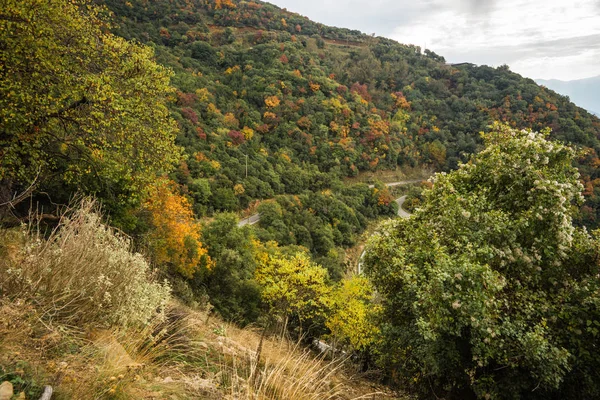 Paysage d'automne dans la gorge de Louise sur le Péloponnèse en Grèce — Photo