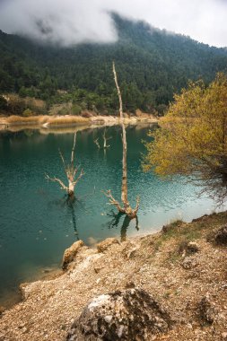 Lake Tsivlos, Peloponnese yeşil suları ile sonbahar manzara,