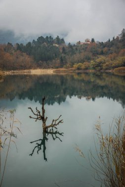 Lake Tsivlos, Peloponnese yeşil suları ile sonbahar manzara,