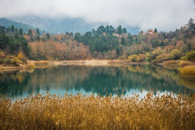 Lake Tsivlos, Peloponnese yeşil suları ile sonbahar manzara,