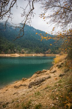 Lake Tsivlos, Peloponnese yeşil suları ile sonbahar manzara,
