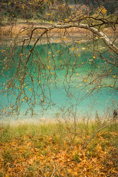 Herbstlandschaft mit grünem Wasser des Tsivlos-Sees, Peloponnes, — Stockfoto