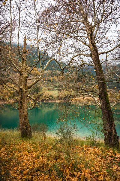 Höstlandskap med gröna vattnet i sjön Tsivlos, Peloponnesos, — Stockfoto