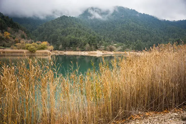 Herbstlandschaft mit grünem Wasser des Tsivlos-Sees, Peloponnes, — Stockfoto