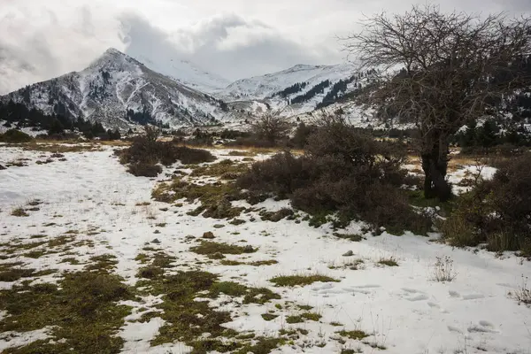 マウント Helmos スキー センターに近い冬雪に覆われた山の風景, — ストック写真