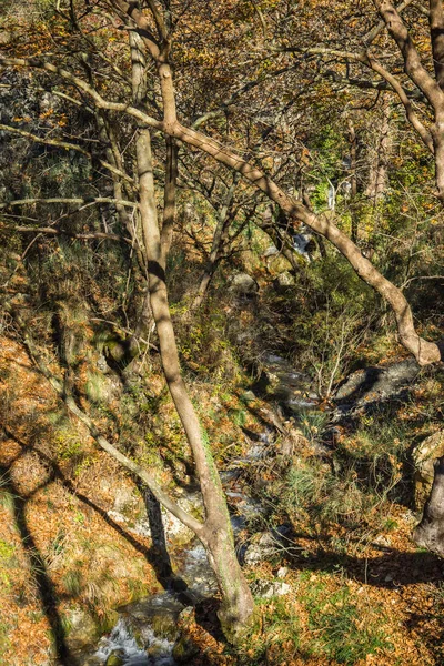 Paisagem de outono de montanha cênica, Peloponeso, Grécia — Fotografia de Stock