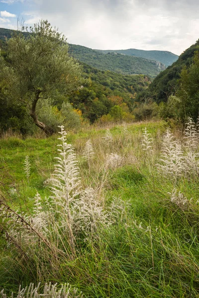 Paysage montagneux d'automne près de l'Ancienne Gortis à Lousias gorge , — Photo