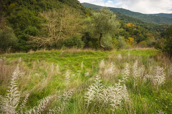 Paysage montagneux d'automne près de l'Ancienne Gortis à Lousias gorge , — Photo