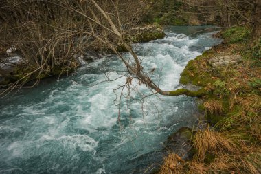 Doğal dağ nehir ve watergfalls, P ile sonbahar manzarası