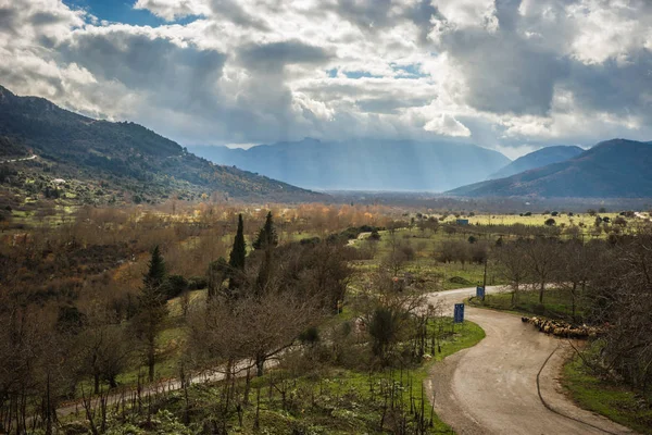 Paysage d'automne pittoresque brumeux dans les montagnes près de Kalavrita, enveloppe — Photo