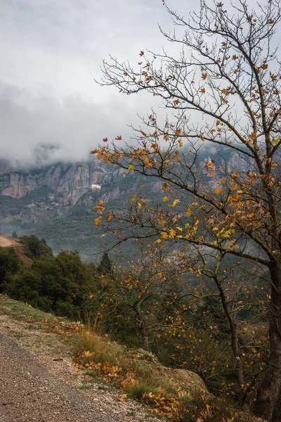 Scenic mglisty krajobraz jesień w górach w pobliżu Kalavrita, Pelop — Zdjęcie stockowe